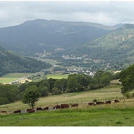 Vacances Au Pied Des Monts Du Cantal Laveissiere ภายนอก รูปภาพ