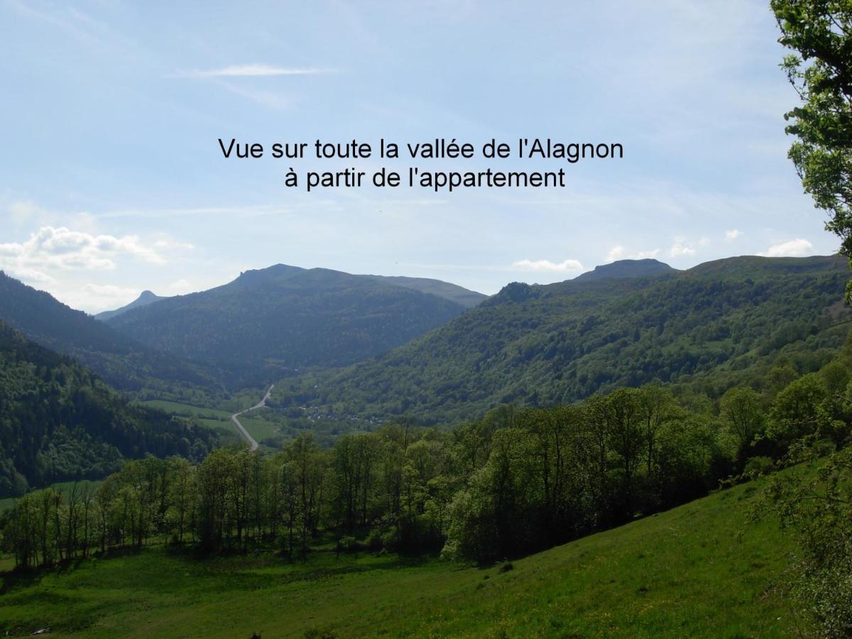 Vacances Au Pied Des Monts Du Cantal Laveissiere ภายนอก รูปภาพ