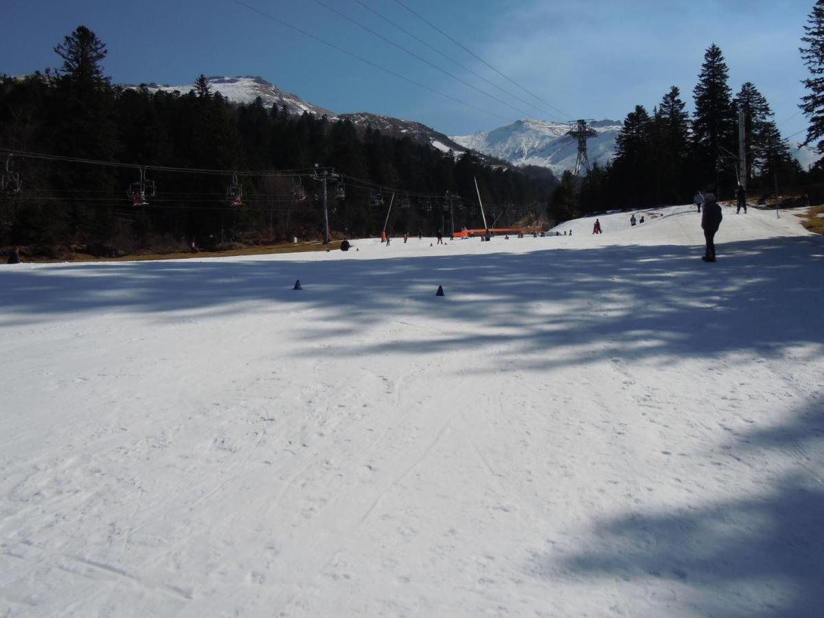 Vacances Au Pied Des Monts Du Cantal Laveissiere ภายนอก รูปภาพ