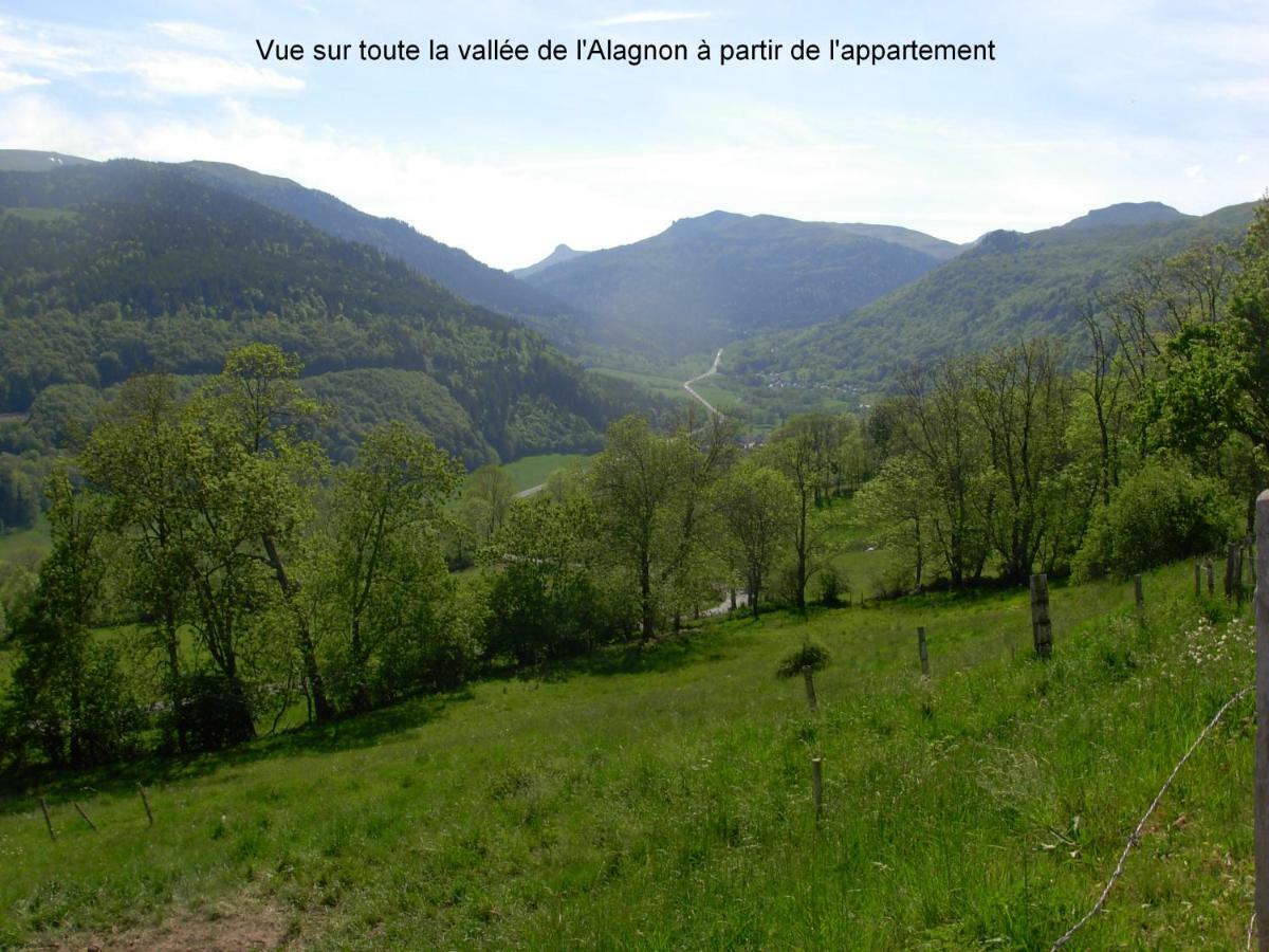 Vacances Au Pied Des Monts Du Cantal Laveissiere ภายนอก รูปภาพ