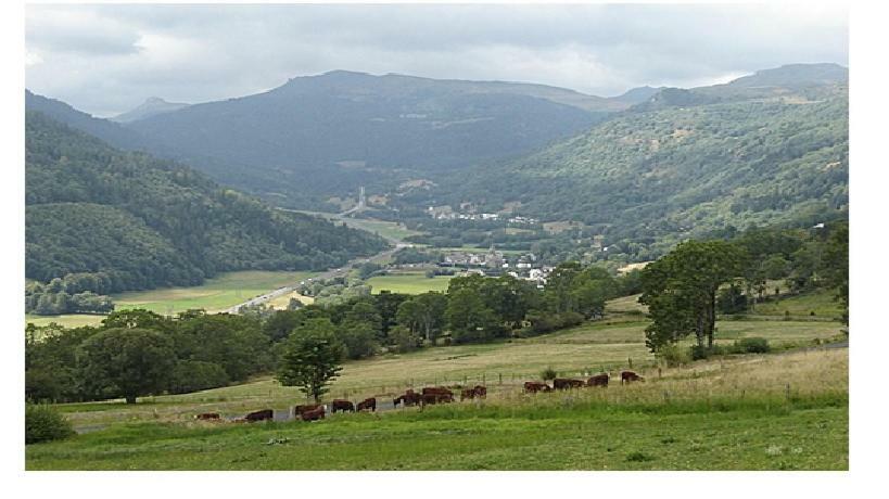 Vacances Au Pied Des Monts Du Cantal Laveissiere ภายนอก รูปภาพ