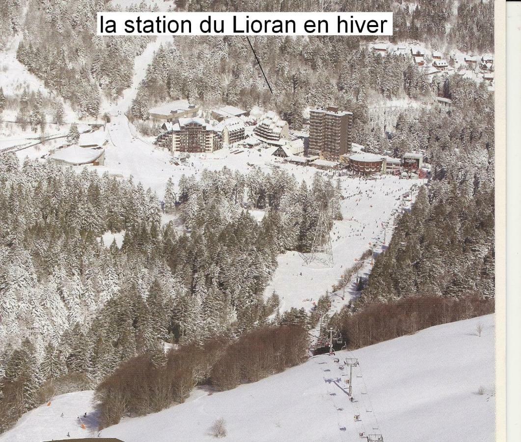 Vacances Au Pied Des Monts Du Cantal Laveissiere ภายนอก รูปภาพ