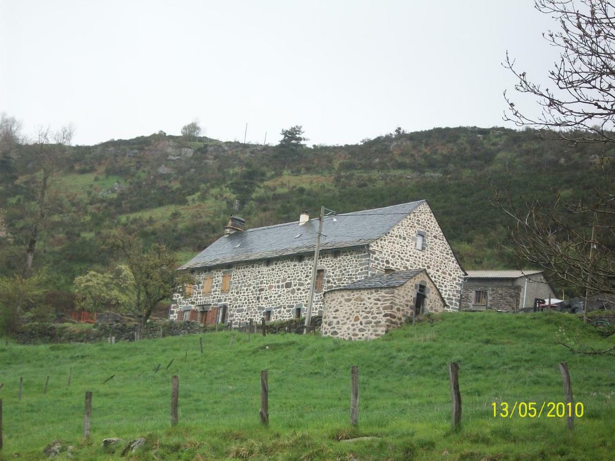 Vacances Au Pied Des Monts Du Cantal Laveissiere ภายนอก รูปภาพ